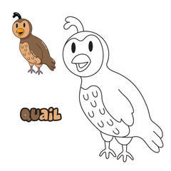 Vector illustration. Coloring book , Coloring quail. Cartoon animal. Clipart set for nursery poster, Practice skills