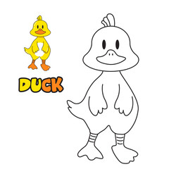 Vector illustration. Coloring book , Coloring Duck. Cartoon animal. Clipart set for nursery poster, Practice skills