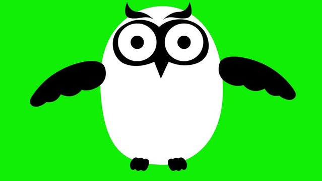 Animated funny white and black owl flies. Looped video. Vector illustration isolated on a green background.