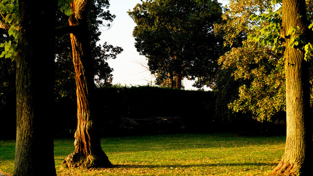 Abbazia di Santa Maria delle Carceri - Museo della Civilt&agrave; Contadina. Carceri,Padova. Italia