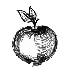 The apple ink grayscale sketch. 
