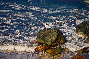 Ostseebad Kühlungsborn