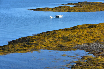 Small Boat Anchored in Shallow Ocean Waters