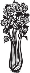 Leaf celery Kitchen herb. Hand drawn vector plant illustration