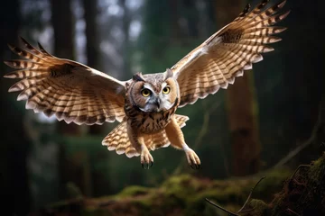 Foto op Aluminium Flying owl in the wild © Veniamin Kraskov