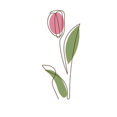 minimalist pink tulip flower line art