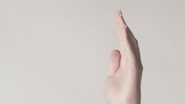 Vertical video. Offering gesture. Open palm. Woman holding copy space in open hand proposing product isolated on gray background.