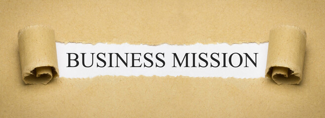 Business Mission
