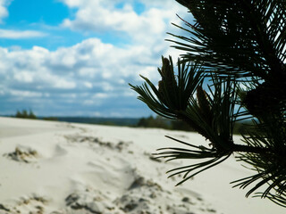 Sand dunes in Stilo, Leba Poland. - obrazy, fototapety, plakaty
