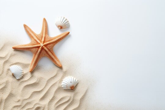 White background with starfish silhouette and painted shell. Generative AI