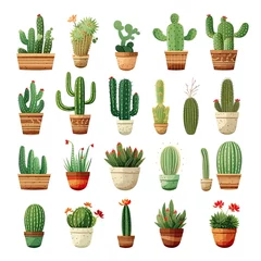 Photo sur Plexiglas Cactus en pot The Cactus set on white background. Clipart illustrations.