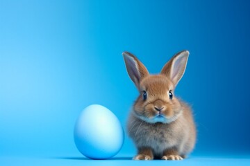 Fototapeta na wymiar Easter Bunny with Blue Egg