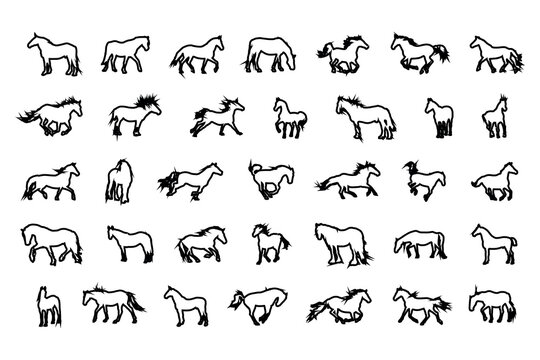 Vector line art outline horses silhouettes collection. Wild horse silhouettes.