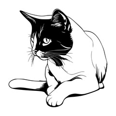 vector illustration of a cat