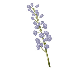 Naklejka na ściany i meble Cartoon purple lupine flower. Vector isolated plant, tender buds on the stem.