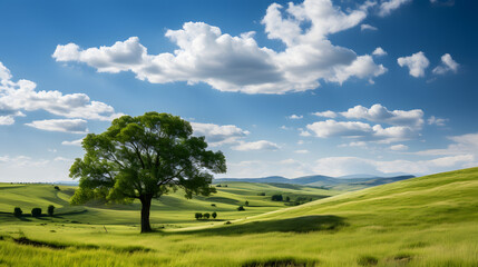 Fototapeta na wymiar Beautiful bright colorful summer spring landscape with lonely tree on field, fresh green grass on meadow and blue sky with clouds