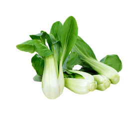 Baby vegetables Choy isolated on  transparent png
