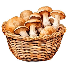 Watercolor Basket Full of Mushrooms