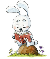 White rabbit reading a book sitting on a rock - 664923566