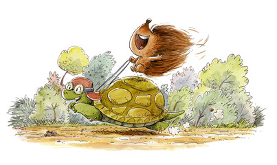 Hedgehog running with a turtle through the field