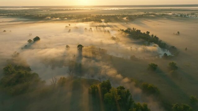 Morning fog smoke river nature park nature sky travel outdoor