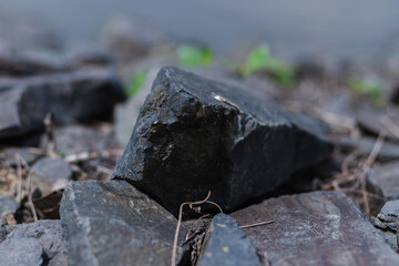 River Rock Fragment in Winter