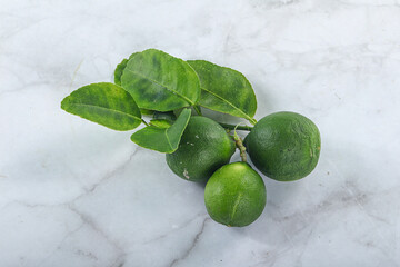 Fresh juicy ripe green lime