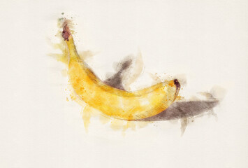 Banana hand drawn with watercolor painting style