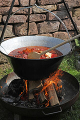 Meat and vegetables in a goulash kettle on a fire pit