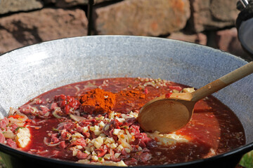 Meat and vegetables in a goulash kettle on a fire pit