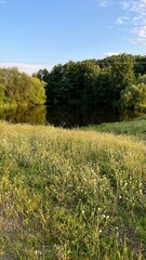 Panoramic landscape with beautiful green hills. Abstract landscape. Nature of Ukraine.