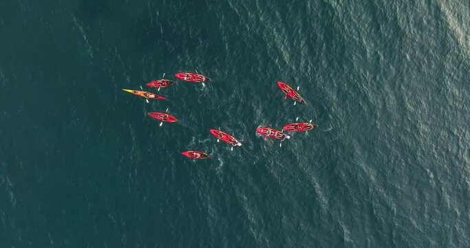 Aerial view above kayakers paddling in shallow, transparent waters in France - top down, drone shot
