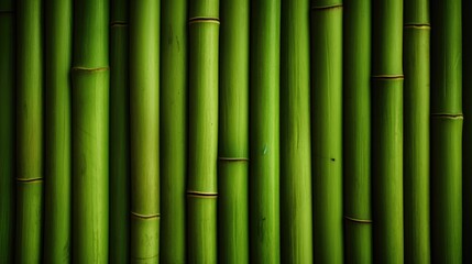 Fototapeta premium Green bamboo fence texture, bamboo background