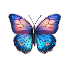 Fototapeta premium gorgeous butterfly
