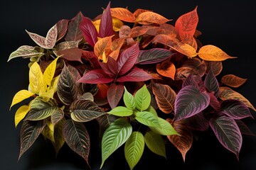 An assortment of colorful leaves from the pseuderanthemum plant. Generative AI