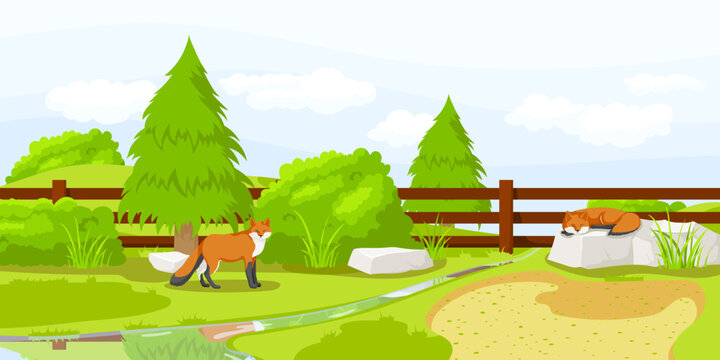 Orange fox standing near fence and lying on stone in zoo. Summer vacation. Natural wildlife. Cartoon design. Cute character. Picturesque landscape. Wild nature. Vector illustration