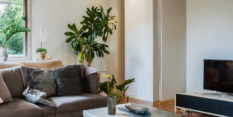 scandinavian home interior design of modern living room 