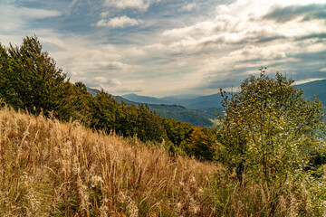 Obraz premium Polonina Wetlinska, Bieszczady mountain, Bieszczady National Park, Poland.