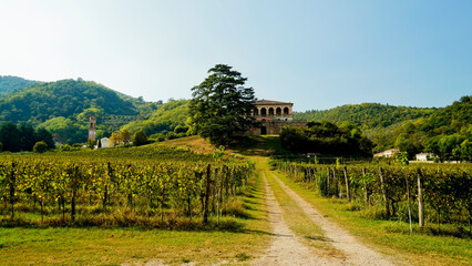 Villa dei Vescovi, Torreglia. Parco dei Colli Euganei. Padova. Italia
