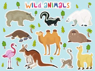 Set of wild animals from variuos world continents. Collection of hippo, opossum, polar bear, camel, platypus, walrus, flamingo, kangaroo, alpaca. Wildlife. Blue background. Vector illustration