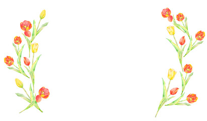 透明水彩で描いた美しいチューリップのイラストフレーム