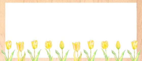 透明水彩で描いた美しいチューリップのイラスト