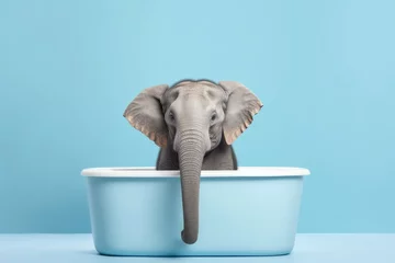 Poster Olifant Funny and cute elephant taking a bath in a bathtub. Isolated on a blue background.