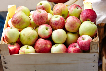 Wooden crate box full of fresh apples. Overhead view of fresh organic apples harvesting concept