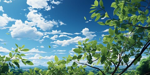 Fresh Green Leaves with Cloudy Blue Sky View