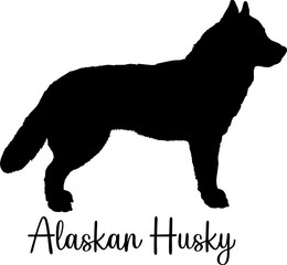  Alaskan Husky dog silhouette dog breeds Animals Pet breeds silhouette
 Alaskan Husky