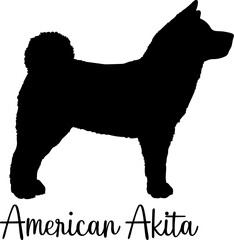 American Akita dog silhouette dog breeds Animals Pet breeds silhouette
