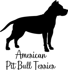 American Pit Bull Terrier dog silhouette dog breeds Animals Pet breeds silhouette
