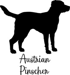Austrian Pinscher. dog silhouette dog breeds Animals Pet breeds silhouette
