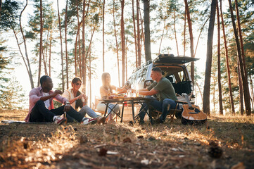 Against the car. Group of friends are together in the forest